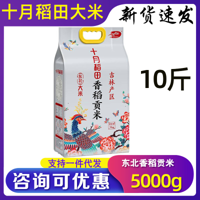 十月稻田香稻贡米5kg一年一季东北粳米10斤装蒸米饭节日公司礼品