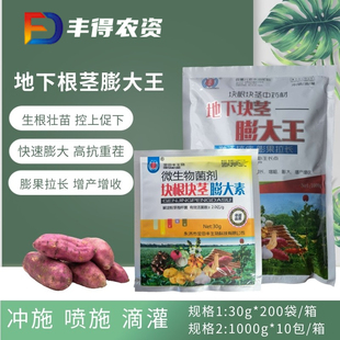 地下根茎膨大王块根块茎鳞茎拉长膨大素红薯大姜山药冲施地下猛长