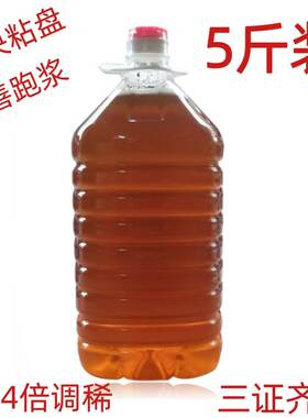 肠粉瓶装广东花生油5斤批发零售
