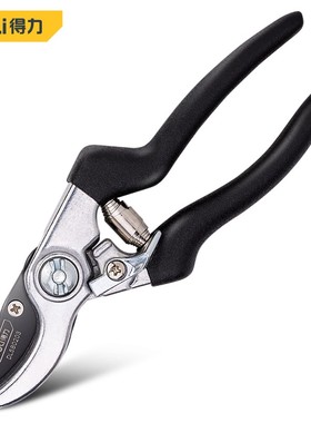 得力合金钢树枝剪园林剪修枝剪树枝果枝剪可剪0-15mm树枝 DL58020