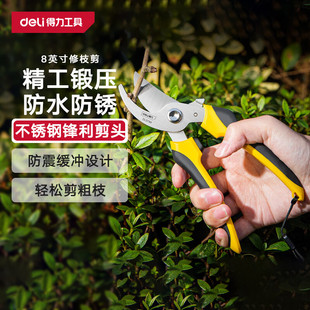 得力（deli）园艺剪刀果枝剪园林剪树枝钳家用修枝剪刀神器8英寸
