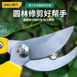 得力工具不锈钢果枝树枝园艺剪弯嘴园林剪树枝钳家用修枝花木剪刀