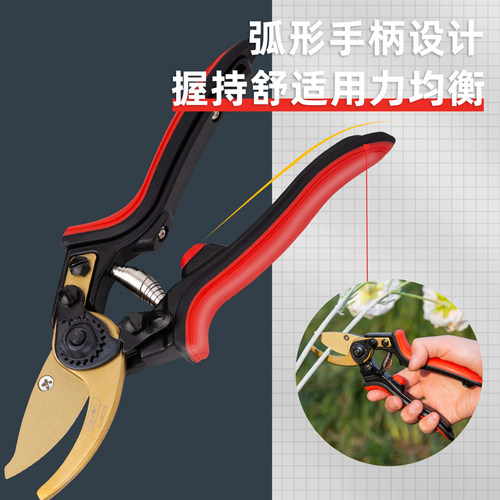 得力花枝剪果树修枝剪刀
