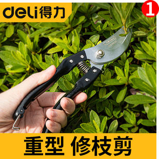 得力重型修枝剪专用园艺剪刀家用修剪果树剪刀果枝剪修枝剪刀树枝