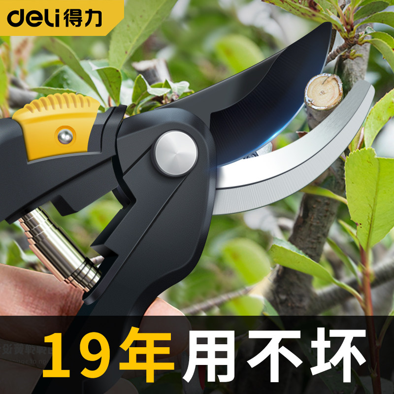 得力园艺剪刀园林修枝剪果树剪枝树枝省力强力大修剪修花剪子图片