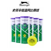 Slazenger史莱辛格网球温网比赛用球高弹单人练习初学者训练球3只