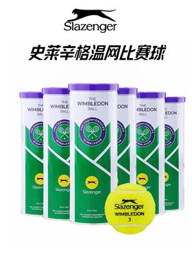 Slazenger史莱辛格网球温网比赛用球高弹单人练习初学者训练球3只
