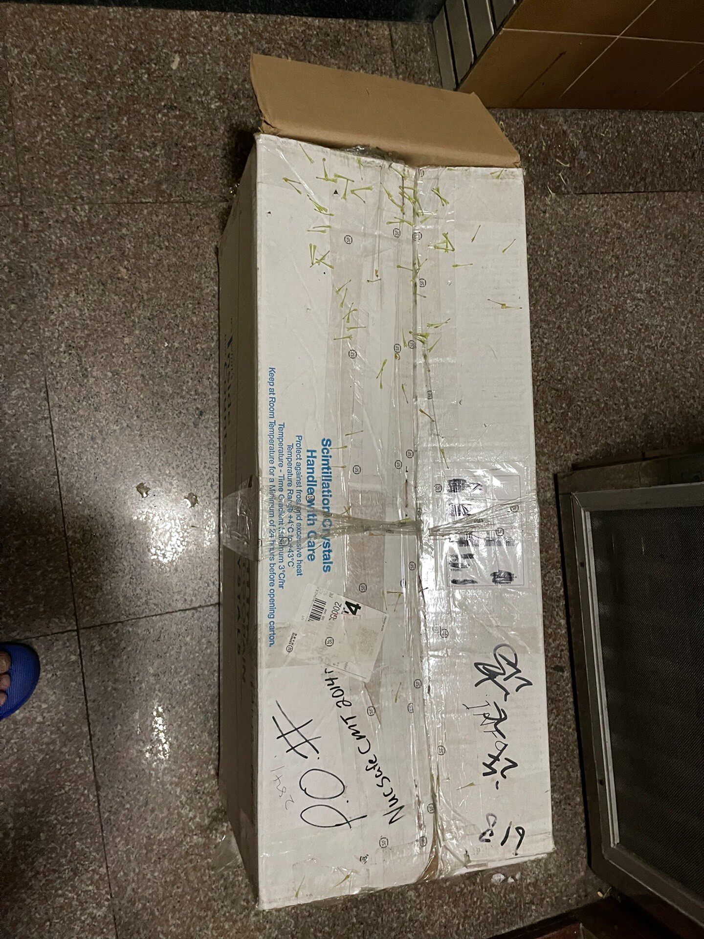 法国 圣戈班saint-gobain 超级大 闪烁晶体 rs