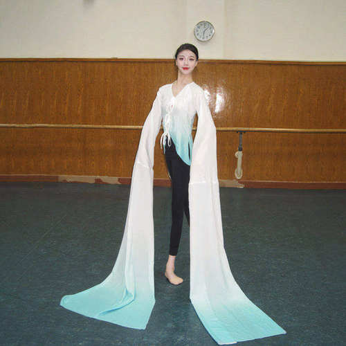 舞研依库古典舞水袖练功服