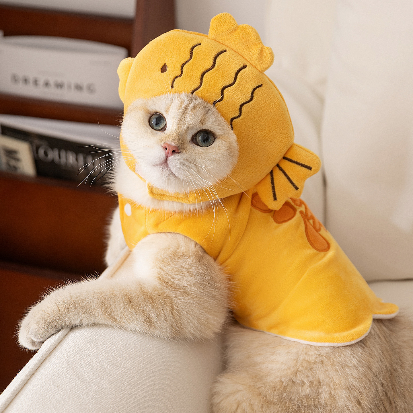 宠物衣服猫咪可爱变装头套