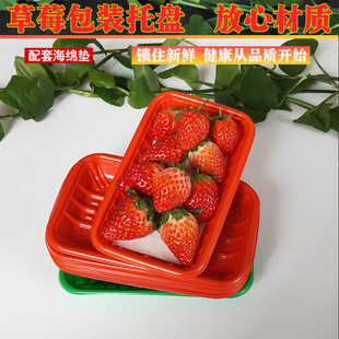 盒 一次性奶油草莓托盘红绿黄色水果打包盒防震海绵垫高档塑料包装