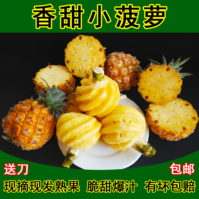 广西现摘树上熟香水菠萝当季新鲜泰国品种小菠萝孕妇即食脆甜水果 水产肉类/新鲜蔬果/熟食 菠萝 原图主图