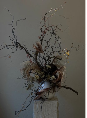 龙枣枝龙爪干支干树枝侘寂风干花永生花天然弯曲摆件客厅插花装饰