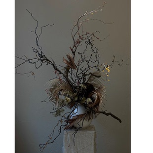 龙枣枝龙爪干支干树枝侘寂风干花永生花天然弯曲摆件客厅插花装饰