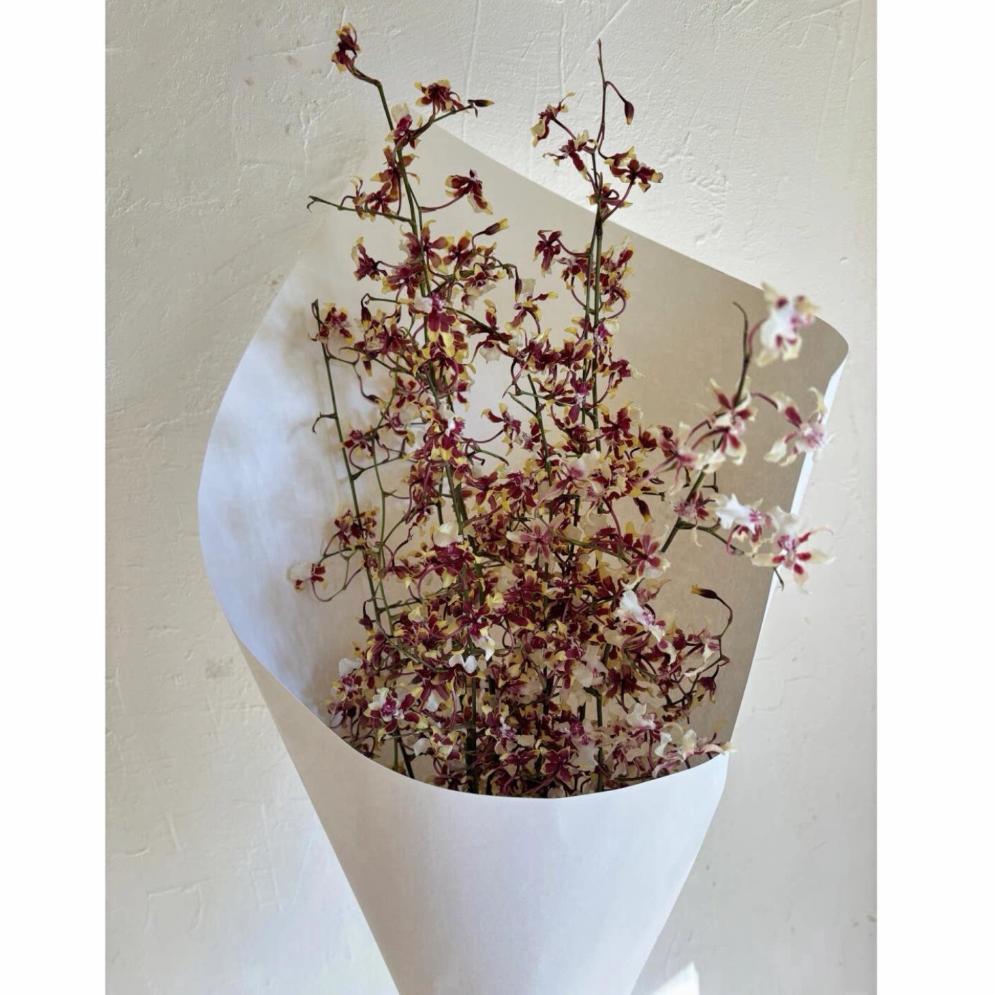 香水兰鲜花花束室内水培兰花瓶插花家用插花鲜切枝桌面装饰摆件