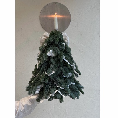 进口新鲜诺贝松圣诞树真树小型桌面迷你摆件圣诞节装饰礼物高级感