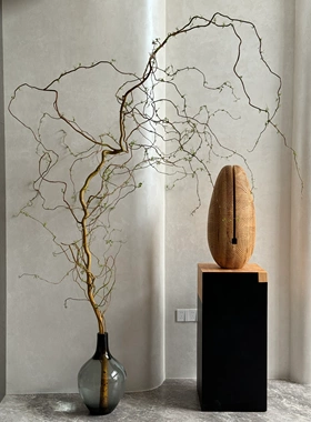 荷兰金龙柳鲜切枝条客厅大型盆栽水培生根好养绿植物家居软装摆件