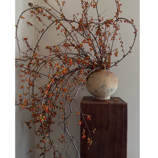 南蛇藤鲜切枝鲜花水培家用花瓶插花中式花材装饰花期长可做干花