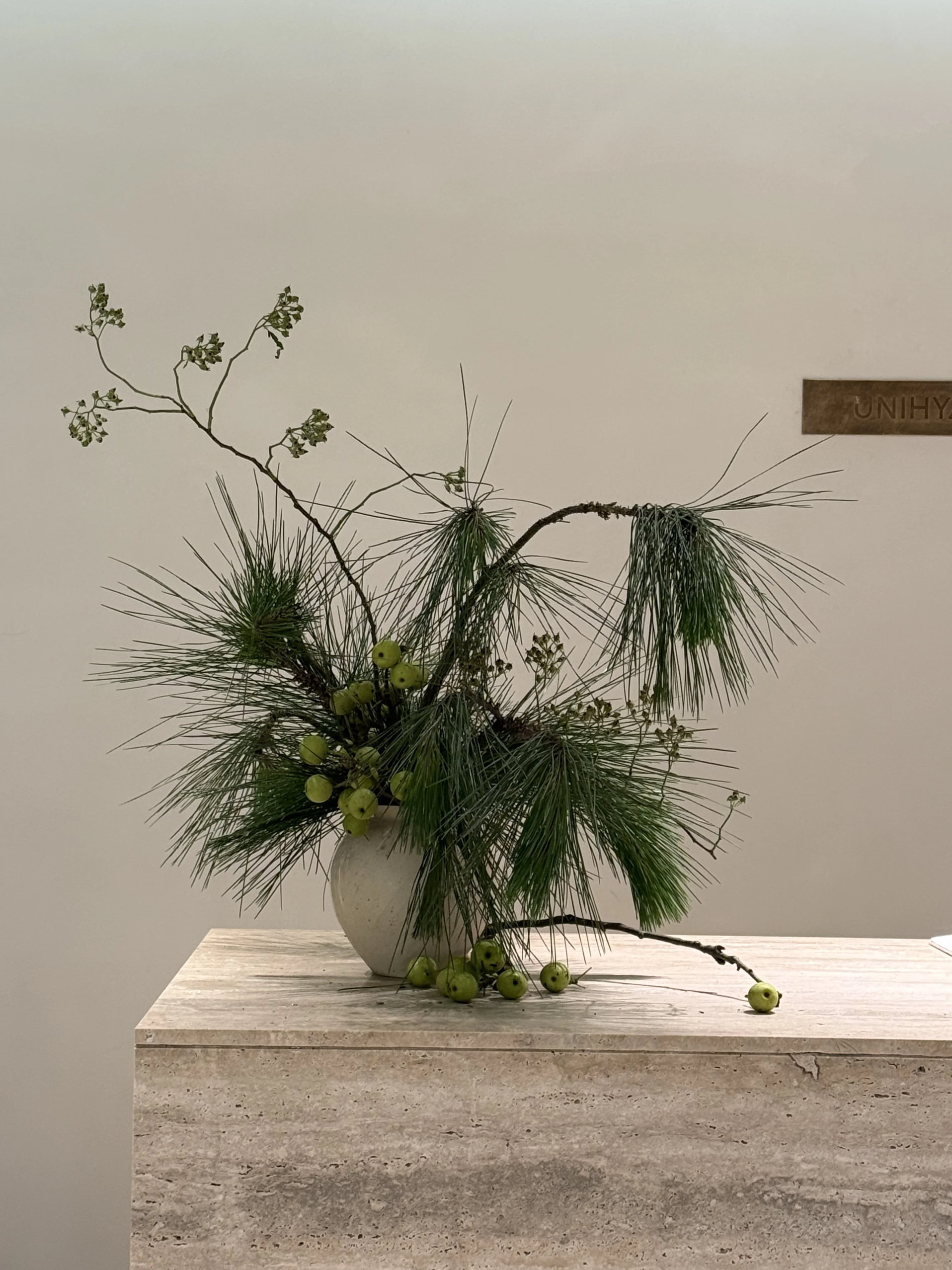 马尾松鲜切枝松树室内花艺鲜花水养真花家居瓶插花侘寂风装饰摆件