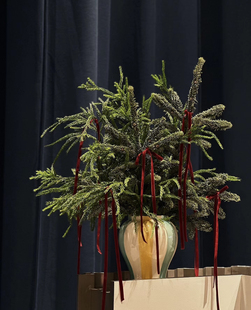 进口诺贝松鲜切松枝圣诞节装 饰材料DIY圣诞树鲜活新年花束年宵花