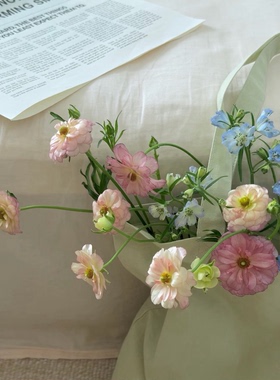 鲜花蝴蝶洋牡丹鲜切花珠光毛茛水养真花家用鲜花插花桌面摆件