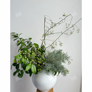 山归来鲜切山归来蔷薇果插花组合家用鲜花瓶插花水养真花桌面装饰
