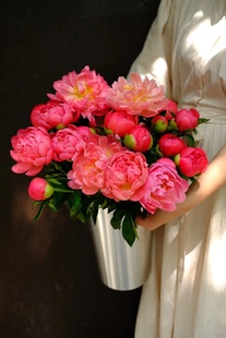 荷兰进口芍药鲜花鲜切落日珊瑚芍药三文鱼插花真花水养桌面摆件