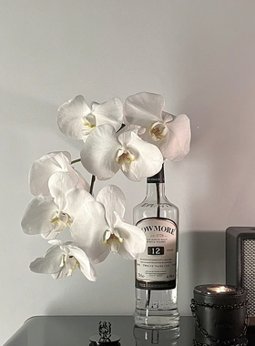 精选蝴蝶兰鲜切花水养鲜花室内客厅植物花卉摆设时尚花艺花束造型