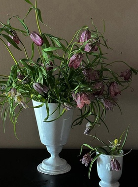 复古斑点紫色花格贝母鲜切花复古小众瓶插花桌面装饰摆件
