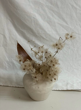 进口可可叶天然植物野生铁线莲花瓶插花高级感侘寂风装饰摆件