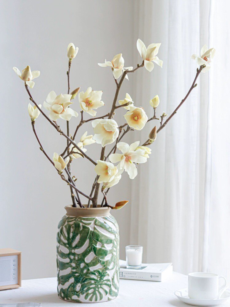 水培花卉白玉兰干枝带花苞鲜花植物室内鲜切好养雪柳开盆栽客厅