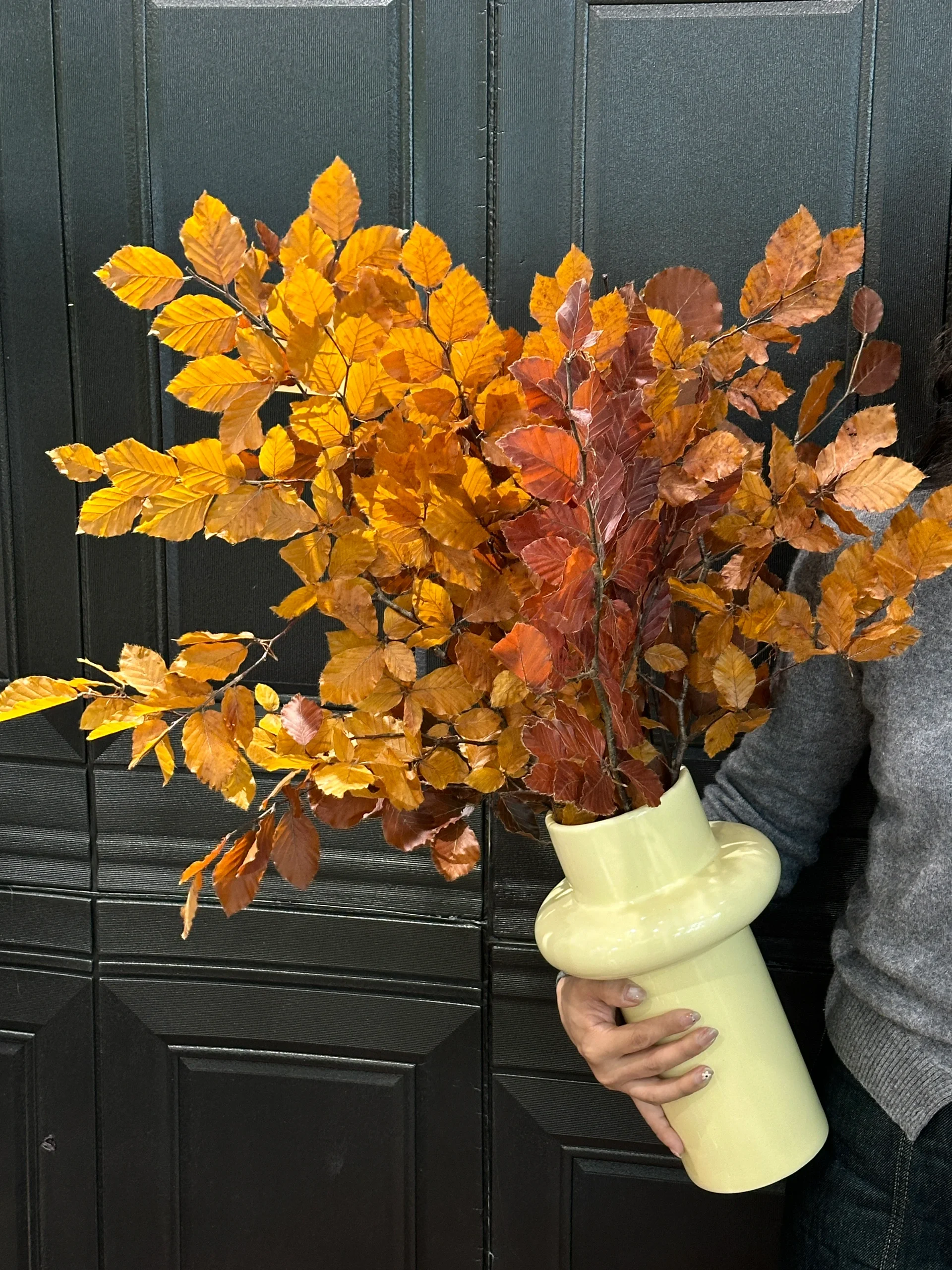橡树叶进口秋色树叶北欧风永生干花束家用插花桦木叶栎树叶摆件