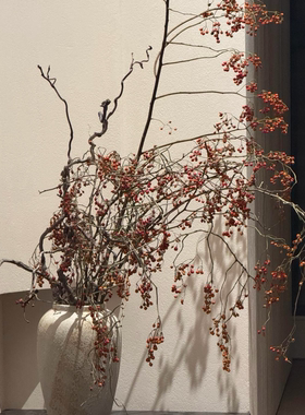山归来红果永生花干花花束客厅摆设干树枝玄关插花天然高级感真花