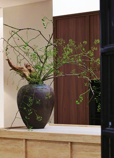 山归来鲜切山归来蔷薇果干枝真花侘寂风干花摆件软装家居布景禅意