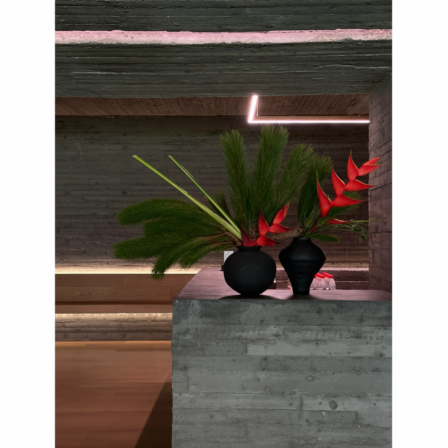 富贵鸟鲜花天堂鸟鲜切花水培鹤望兰花束花瓶插花速递桌面装饰摆件,鲜花速递/花卉仿真/绿植园艺,花材,淘宝优惠券,粉丝福利购,淘宝优惠卷