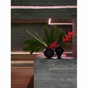 富贵鸟鲜花天堂鸟鲜切花水培鹤望兰花束花瓶插花速递桌面装饰摆件