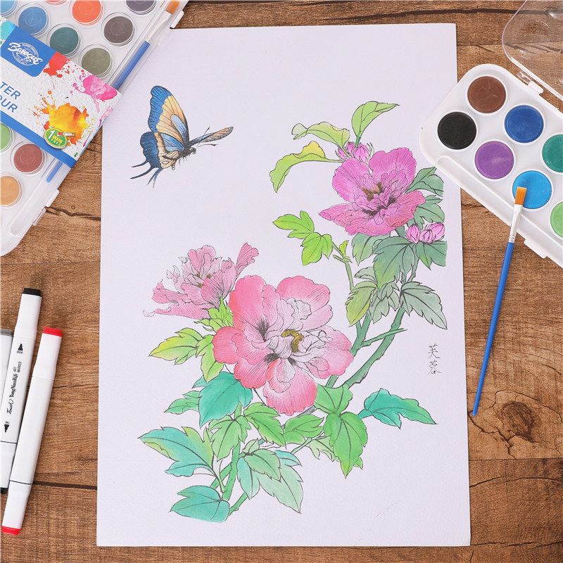 花卉手绘涂色本大人固体水彩画本
