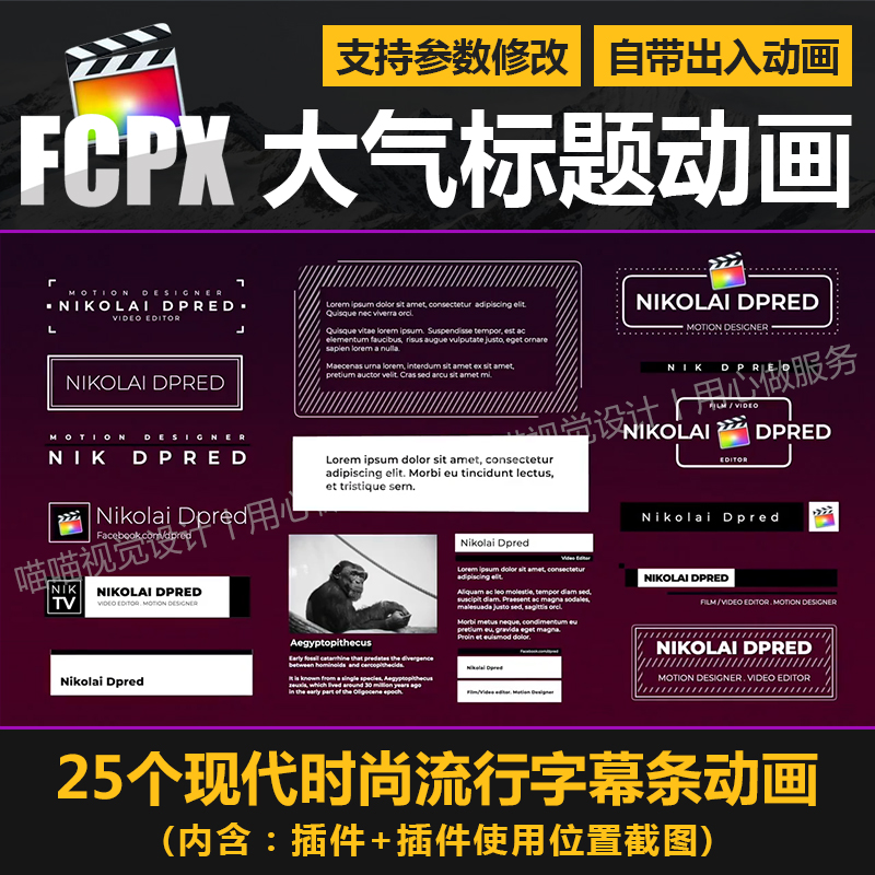 FCPX插件25个现代简约动感文字标题人名介绍注释字幕条动画模板