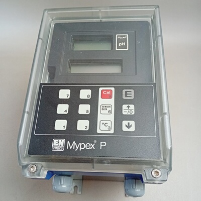 Endress Hauser Conducta Mypex P PPYD