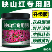 映山红专用肥料家用杜鹃花盆栽通用催花酸性有机复合型颗粒营养土