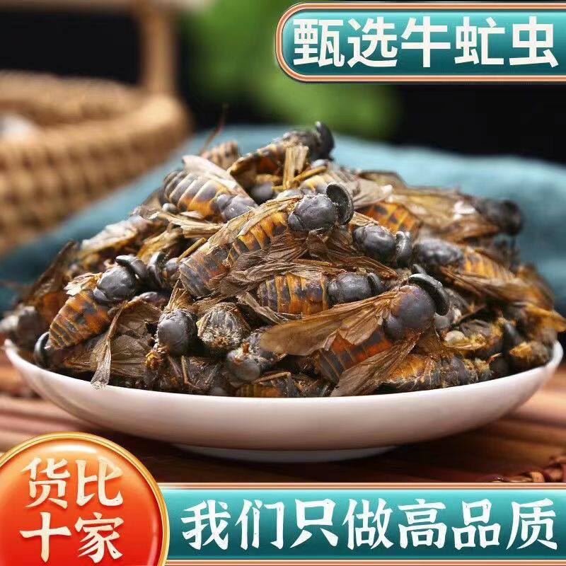 抵挡汤去足翅牛虻吸血小水蛭去皮桃仁就大黄抵当汤倪海厦