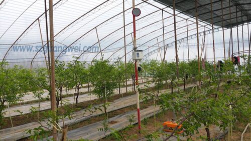 农业大棚物联网系统远程APP软件硬件定制开发温控无线控制终端