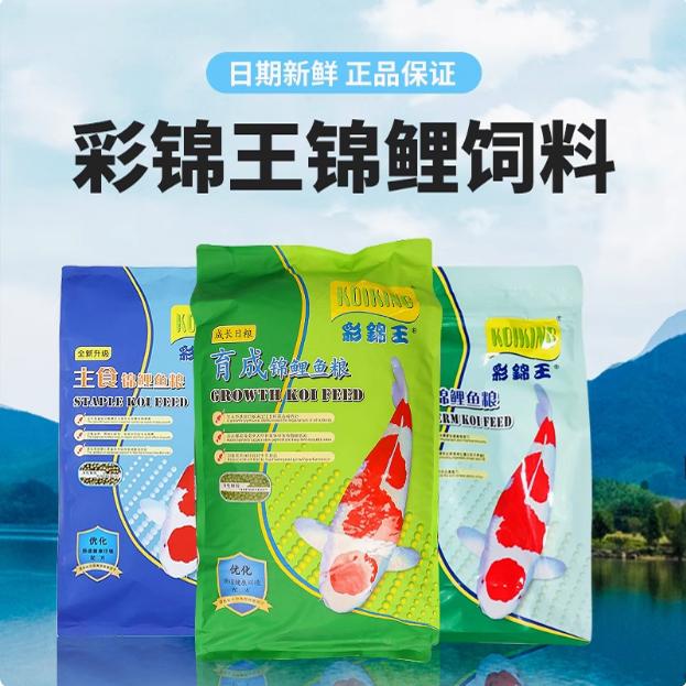 彩锦王锦鲤饲料观赏鱼食鱼均衡增体增色主食育成螺旋藻锦鲤正品