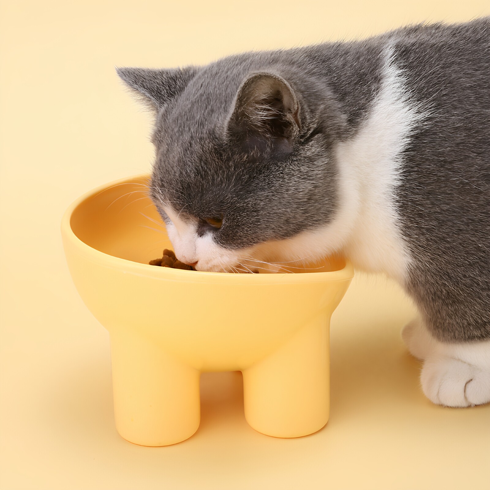 猫狗高脚防滑底座慢食碗图片