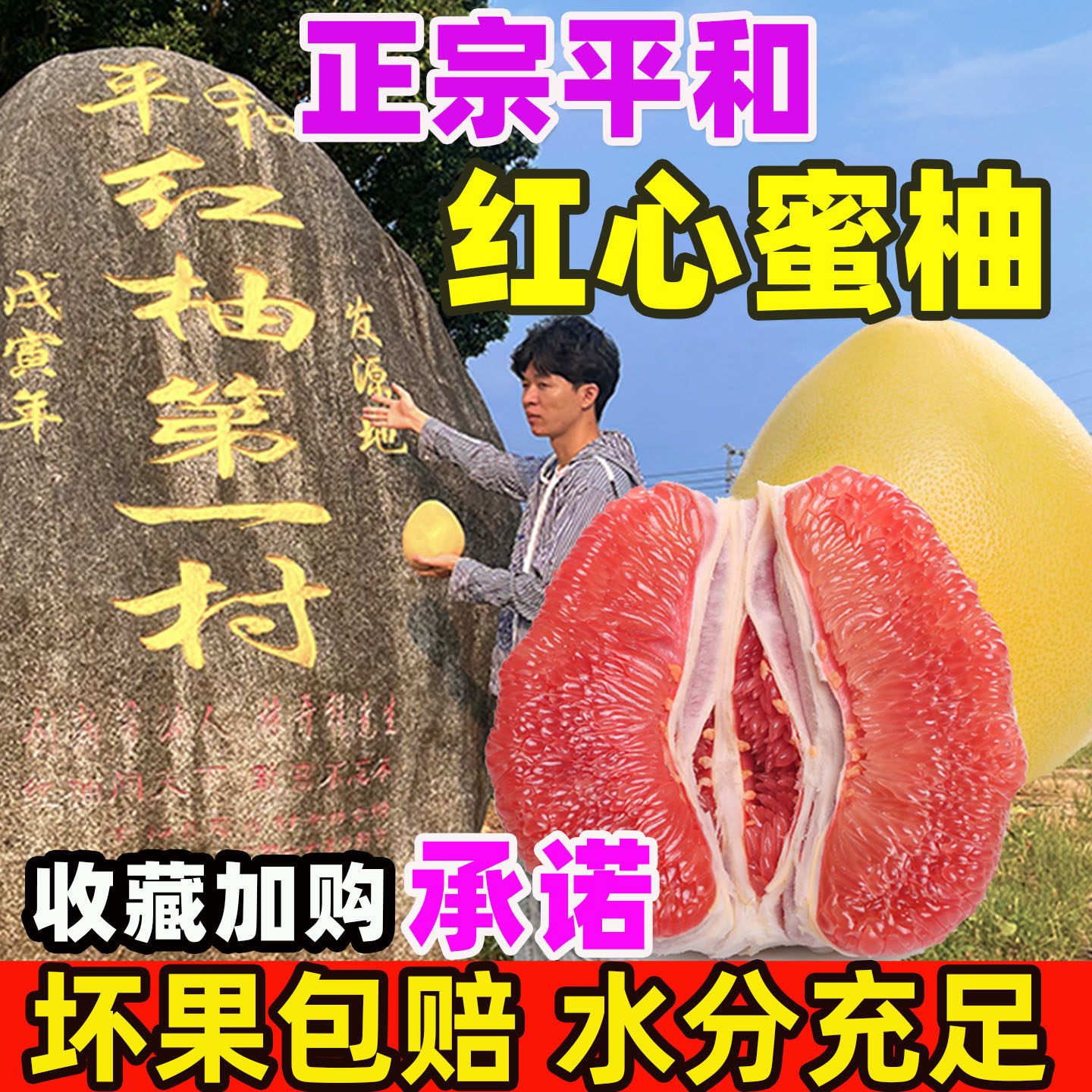 老顾客专享红肉蜜柚柚子红心柚新鲜当季孕妇水果琯溪柚子三红柚