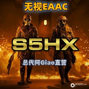 【S5HX】 战地五/战地5  闪电侠激活码 战排同款永久更新