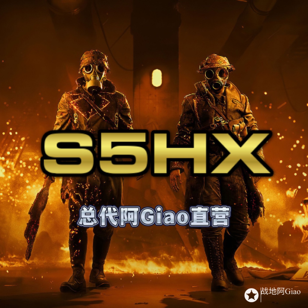【S5HX】战地五/战地5闪电侠激活码战排同款永久更新