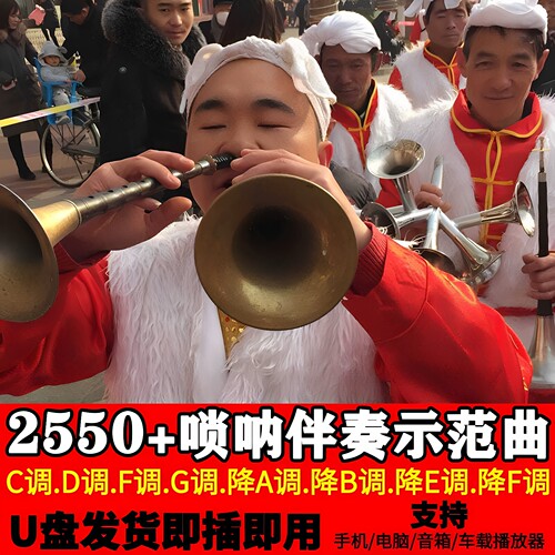 唢呐独奏MP3伴奏曲U盘