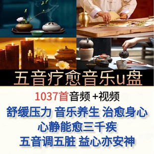 纯音乐存储卡五音疗愈音乐u盘舒缓古筝古琴琵琶乐器