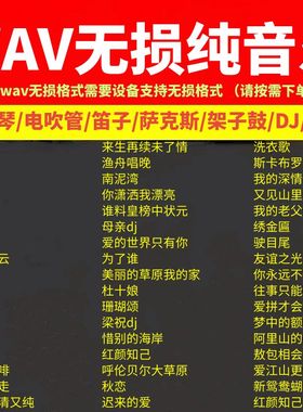 纯音乐u优盘电子琴dj红歌老歌tf卡车载u盘wav无损歌曲音响高品质